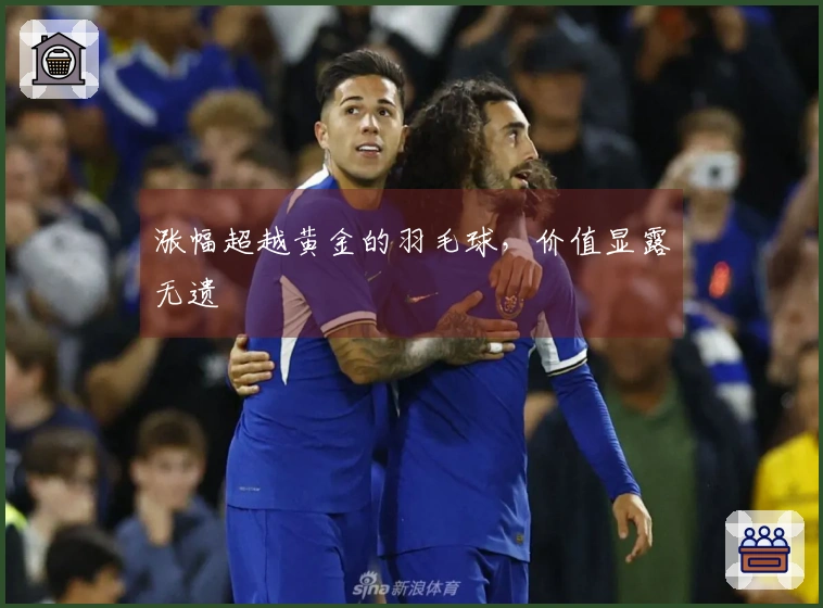 涨幅超越黄金的羽毛球，价值显露无遗